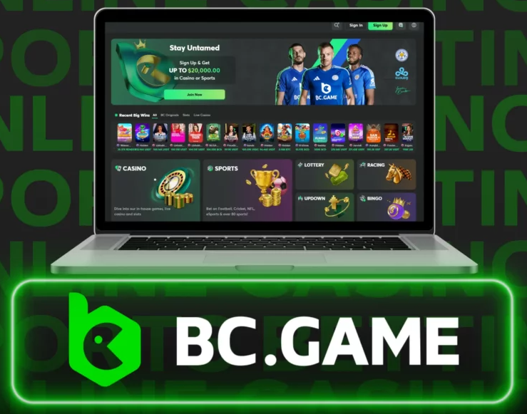 Discover the Excitement of Play Bc.Game